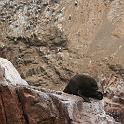 Peru 0092